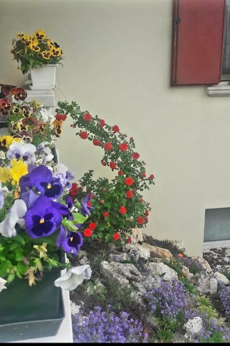Villa Ama Pordenone Eksteriør billede