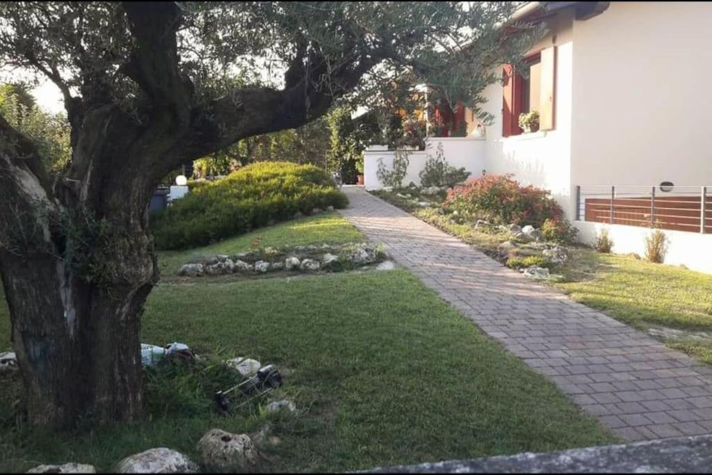 Villa Ama Pordenone Eksteriør billede