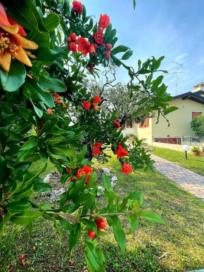 Villa Ama Pordenone Eksteriør billede