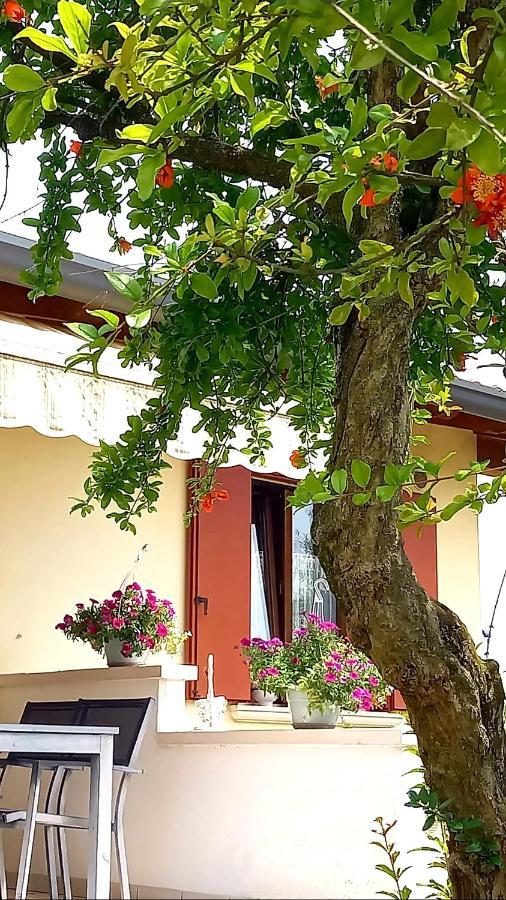 Villa Ama Pordenone Eksteriør billede